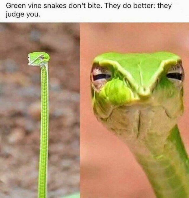 Funny Memes (27 pics)