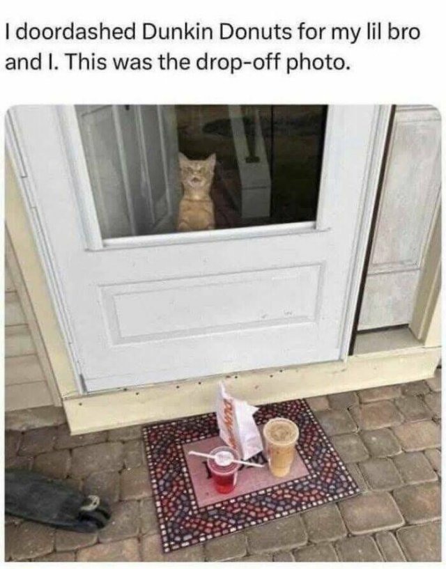 Funny Memes (27 pics)
