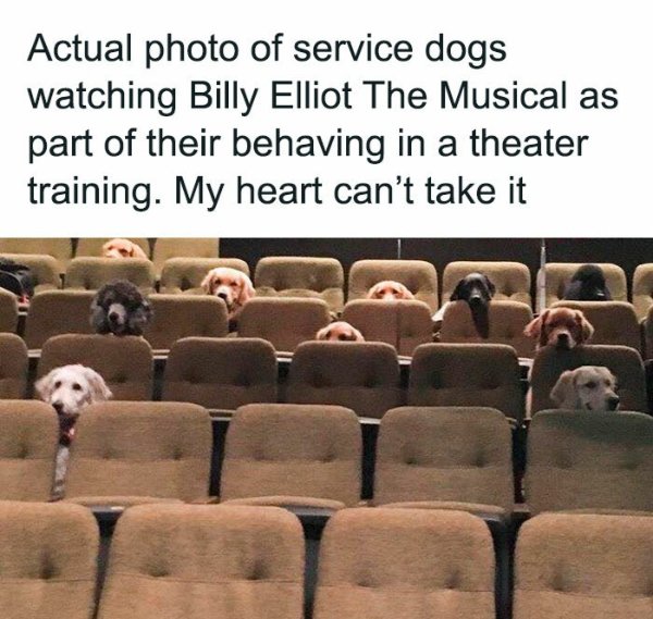 Posts For Animal Lovers (30 pics)