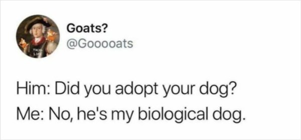 Posts For Animal Lovers (30 pics)