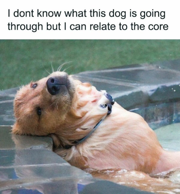 Posts For Animal Lovers (30 pics)