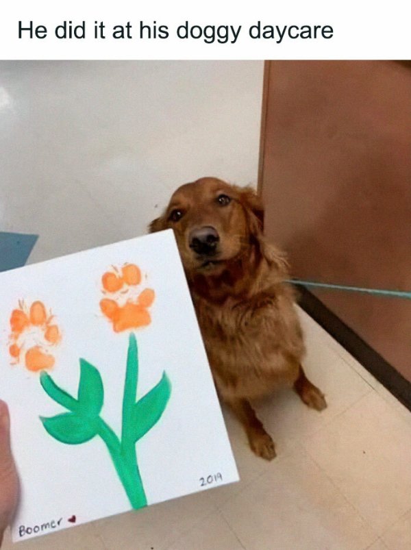 Posts For Animal Lovers (30 pics)