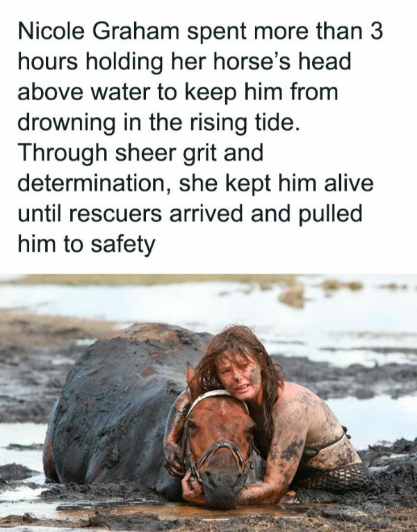Posts For Animal Lovers (30 pics)