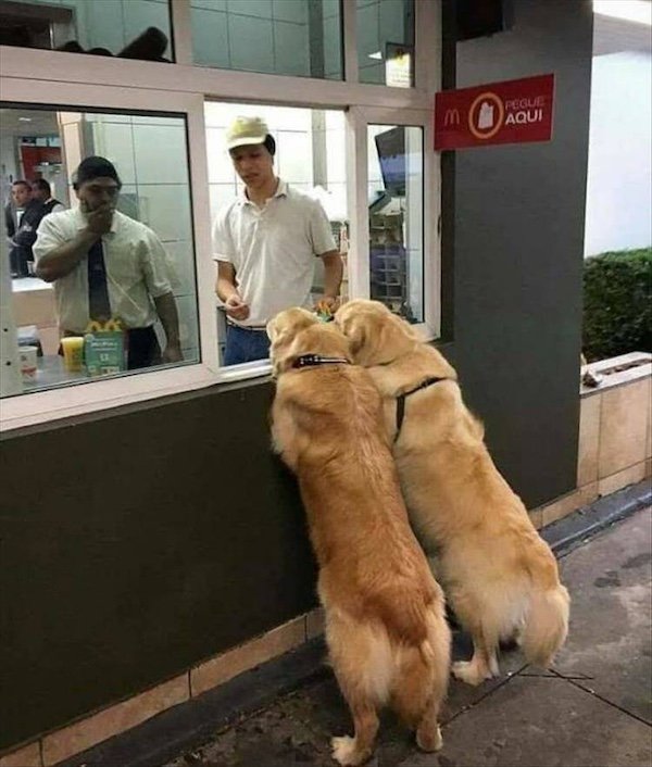 Funny Work Photos And Memes (33 pics)