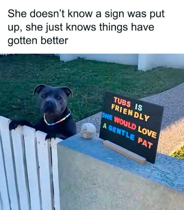 Posts For Animal Lovers (30 pics)
