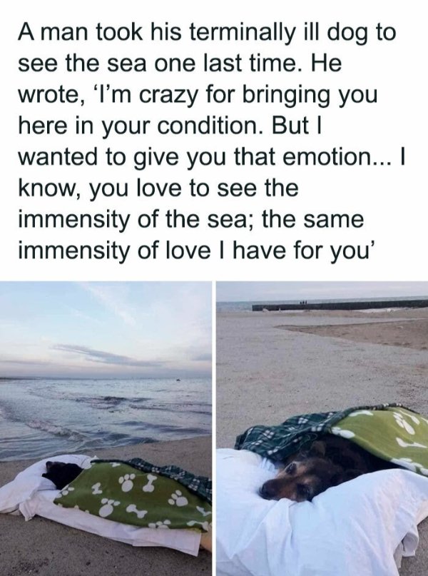 Posts For Animal Lovers (30 pics)