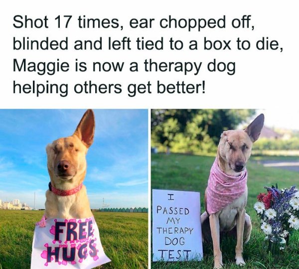 Posts For Animal Lovers (30 pics)