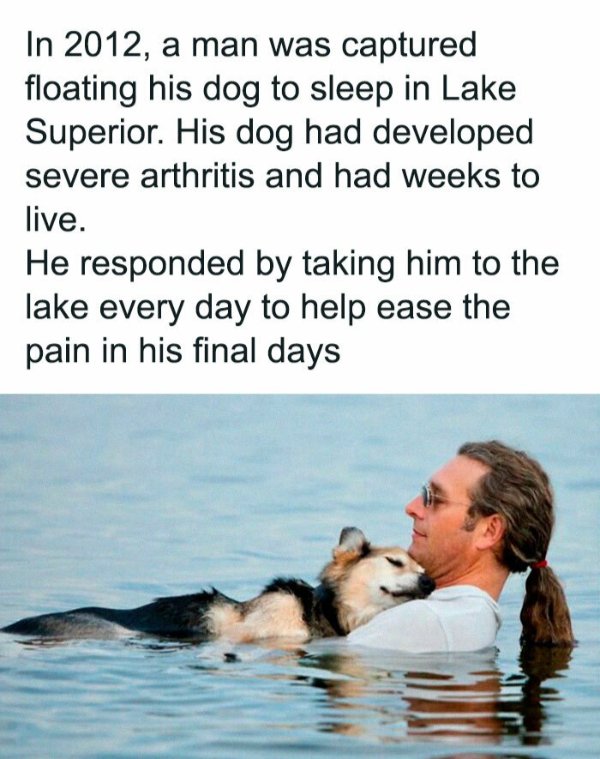 Posts For Animal Lovers (30 pics)