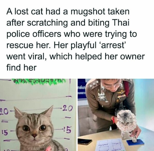 Posts For Animal Lovers (30 pics)