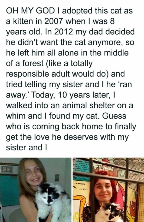 Posts For Animal Lovers (30 pics)