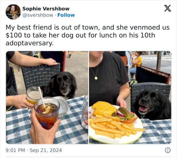 Posts For Animal Lovers (30 pics)