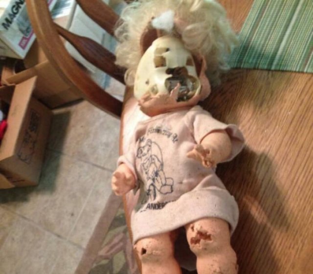 Scary Photos (19 pics)