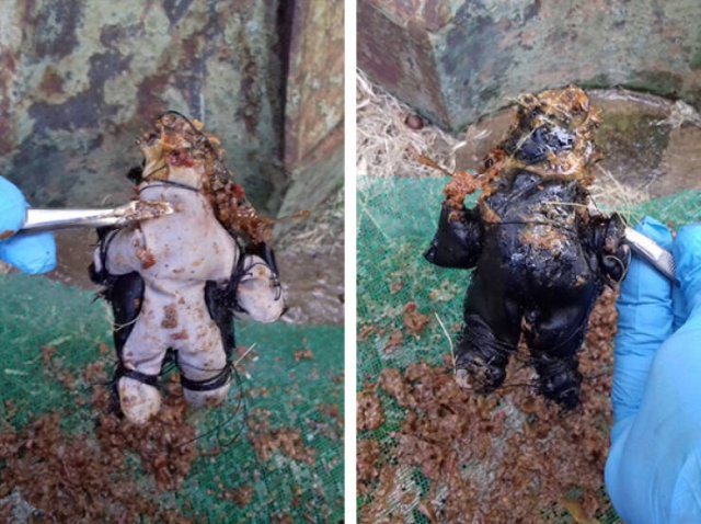 Scary Photos (19 pics)
