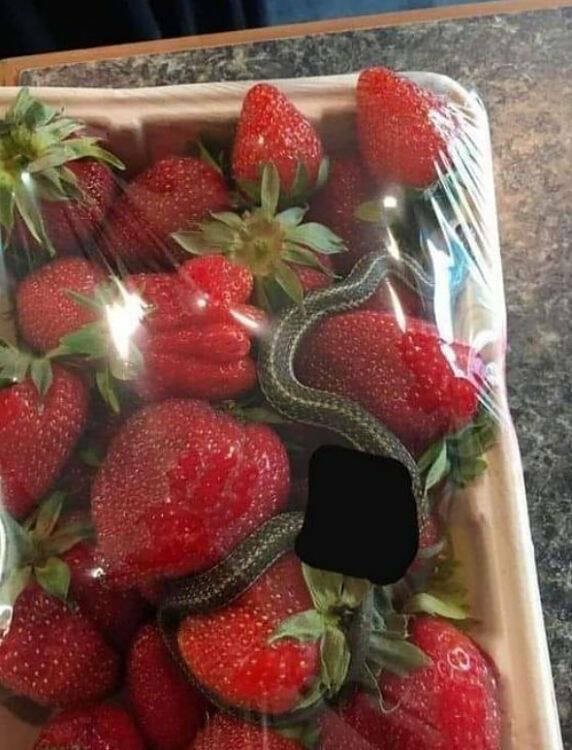 Failed Designs (20 pics)
