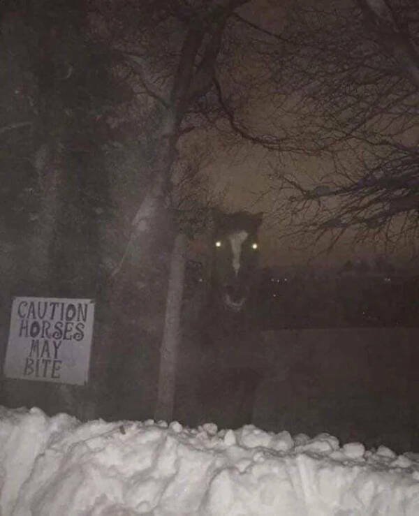 Scary Photos (19 pics)