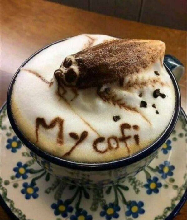 Failed Designs (20 pics)