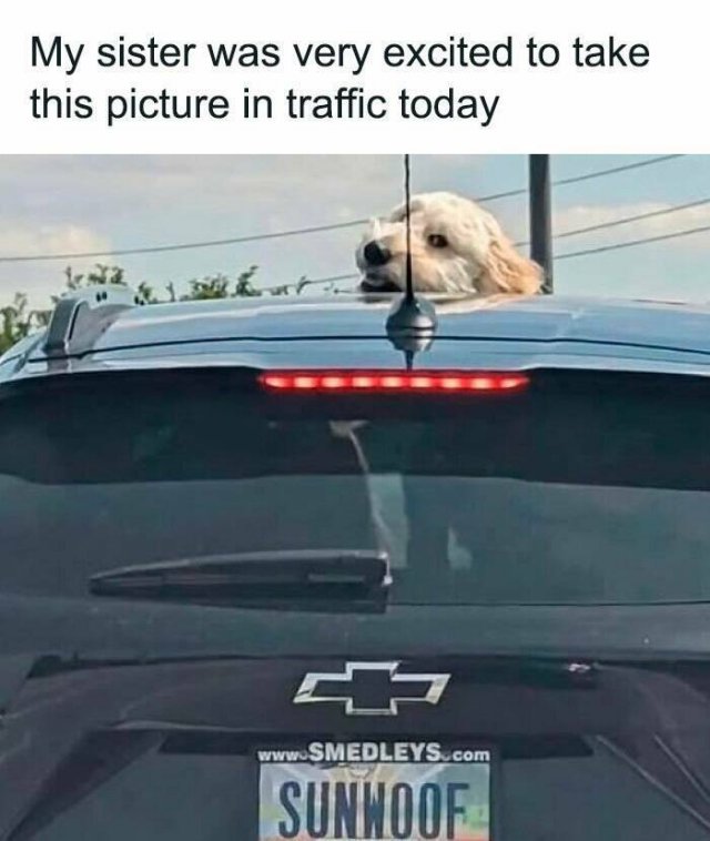 Funny Memes (25 pics)