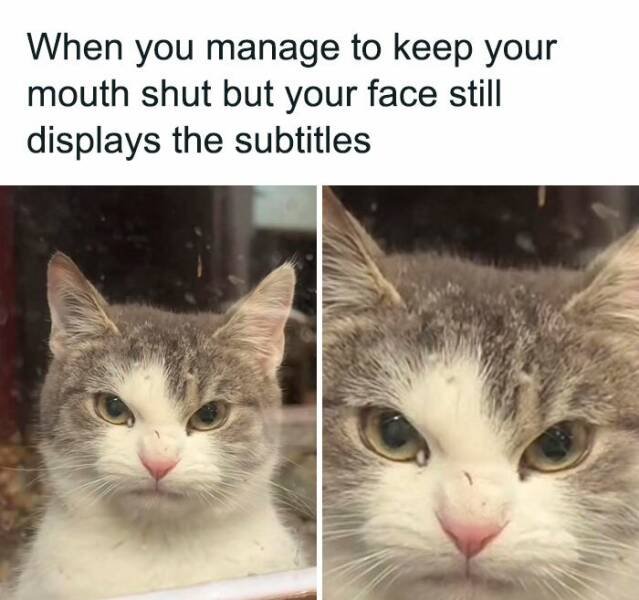 Funny Memes (25 pics)