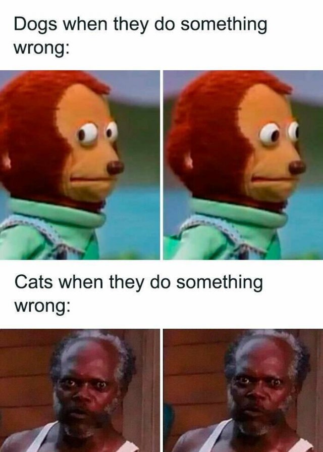 Funny Memes (25 pics)