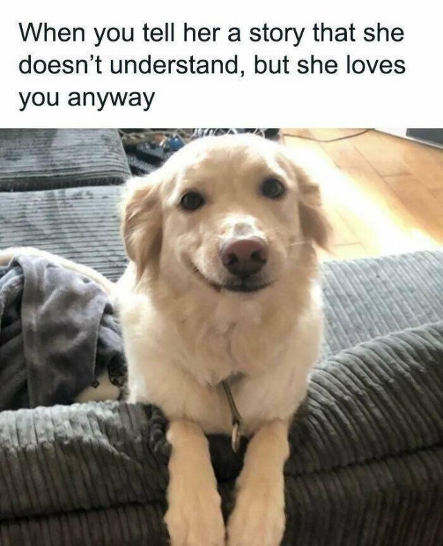 Funny Memes (25 pics)