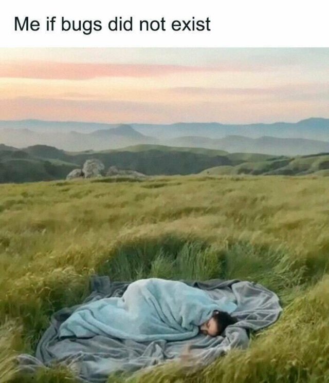 Funny Memes (25 pics)