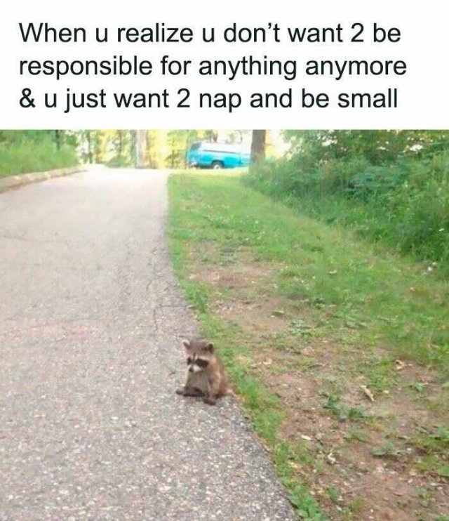 Funny Memes (25 pics)