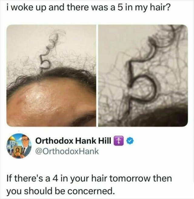 Funny Memes (25 pics)