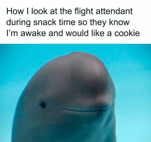 Funny Memes (25 pics)