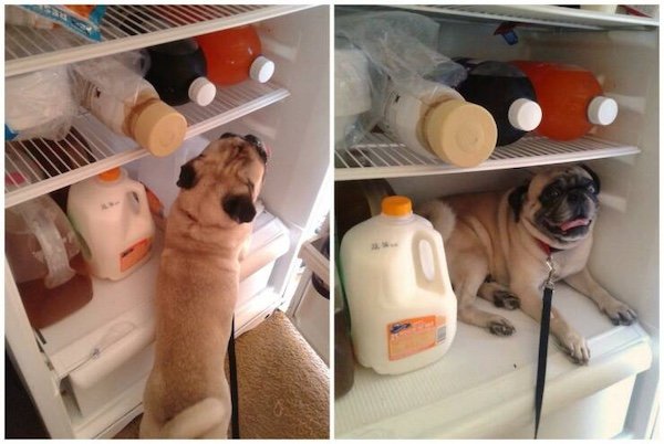Resourceful People (32 pics)