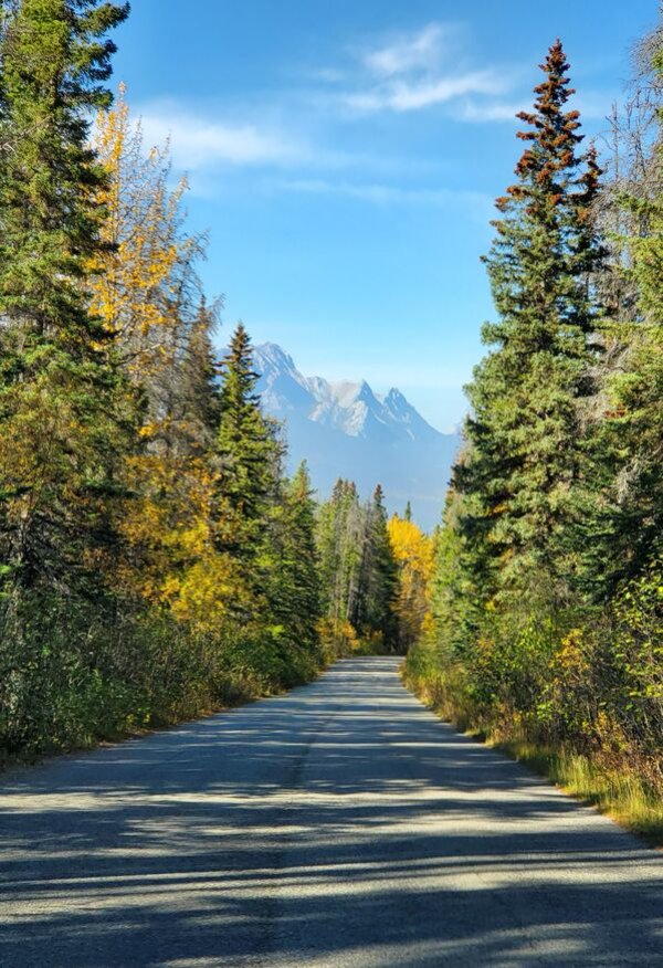 This Is Just Canada (30 pics)