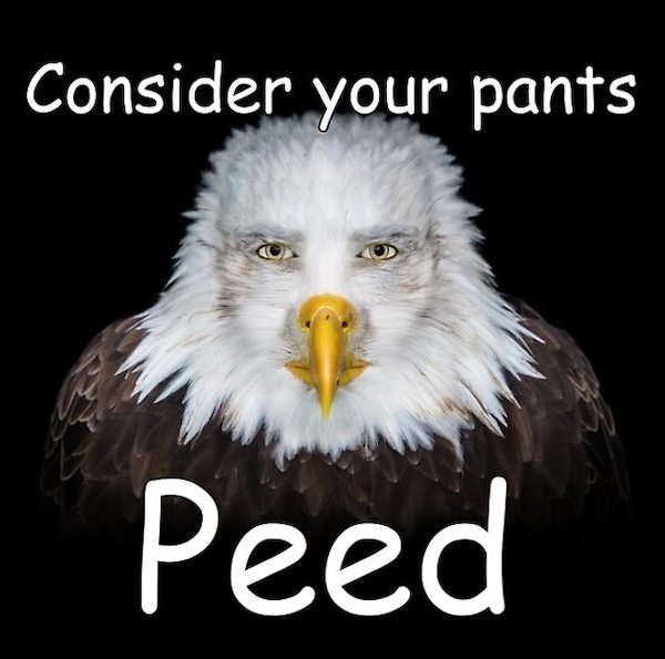 Random Jokes (29 pics)