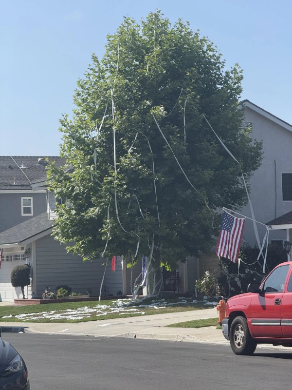 Bad Days Happen (24 pics)
