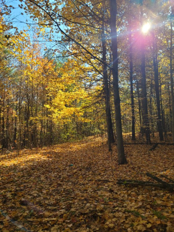 This Is Just Canada (30 pics)