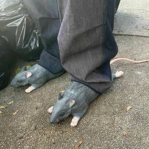 Failed Fashion (15 pics)