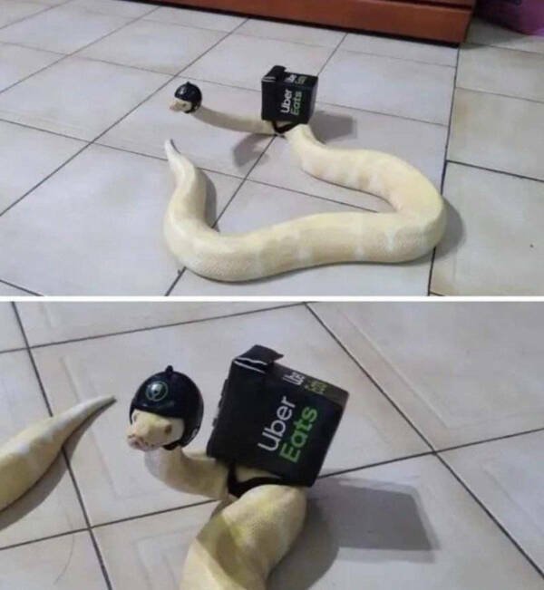 What Is Going On Here? (29 pics)