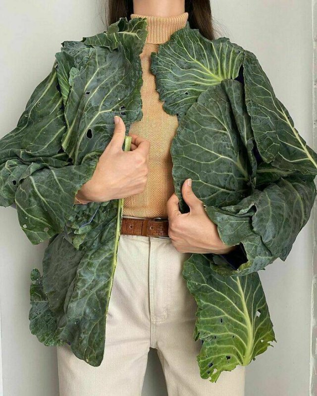 Failed Fashion (15 pics)