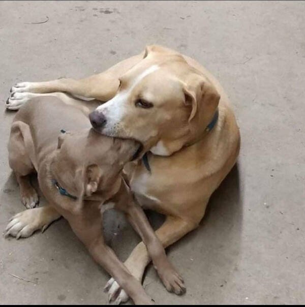 What Is Going On Here? (29 pics)