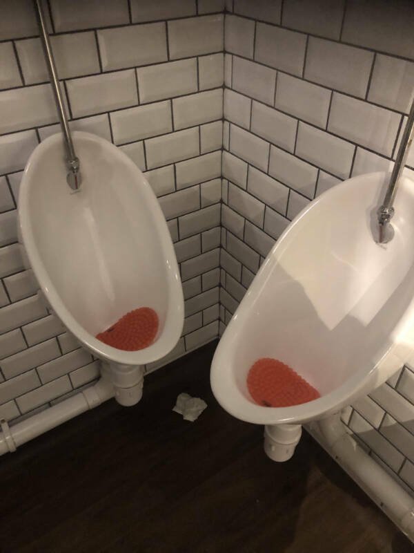What Is Going On Here? (29 pics)