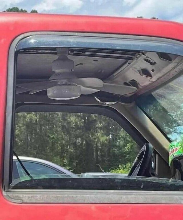 What Is Going On Here? (21 pics)