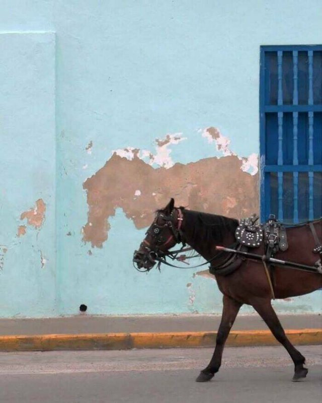 What Is Going On Here? (21 pics)