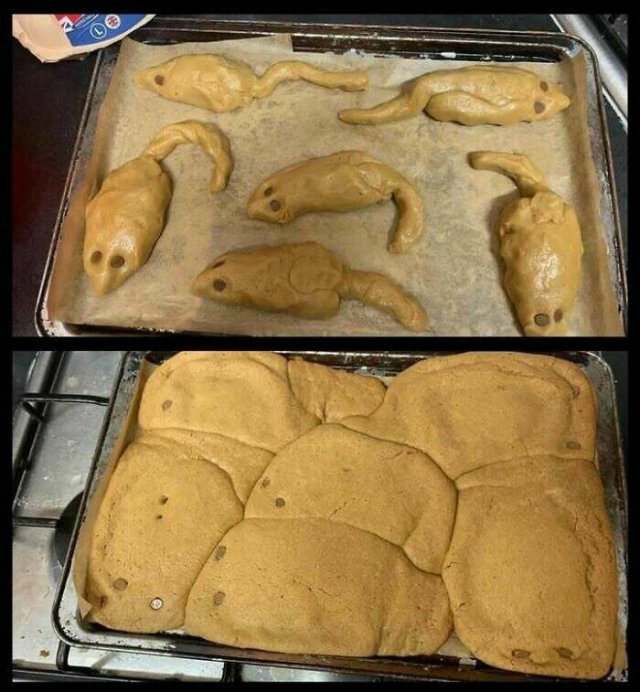 What Is Going On Here? (21 pics)