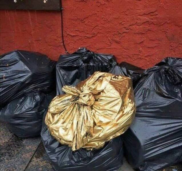 What Is Going On Here? (21 pics)