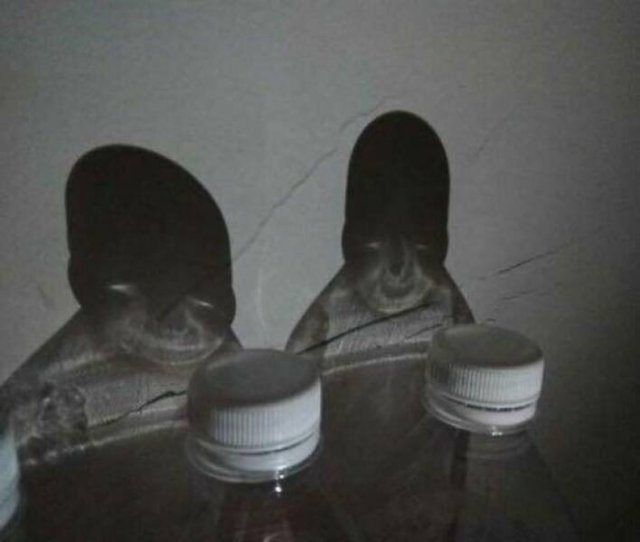 What Is Going On Here? (21 pics)