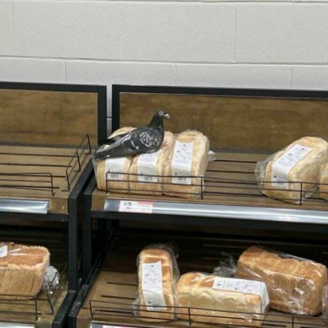 What Is Going On Here? (21 pics)