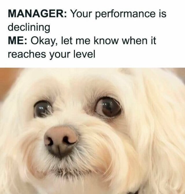 Work Memes (22 pics)