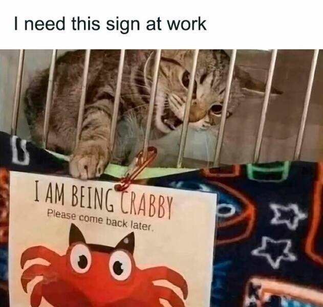 Work Memes (22 pics)