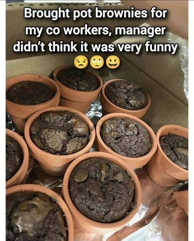Work Memes (22 pics)