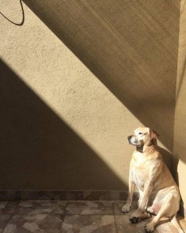 Positive Posts And Photos (29 pics)