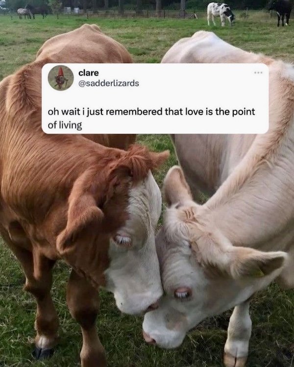 Positive Posts And Photos (29 pics)