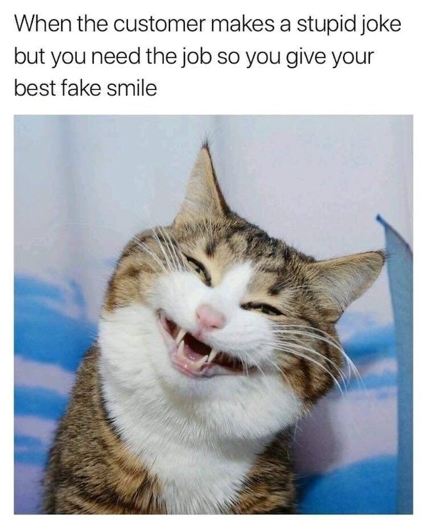 Jokes For Cat Lovers (25 pics)